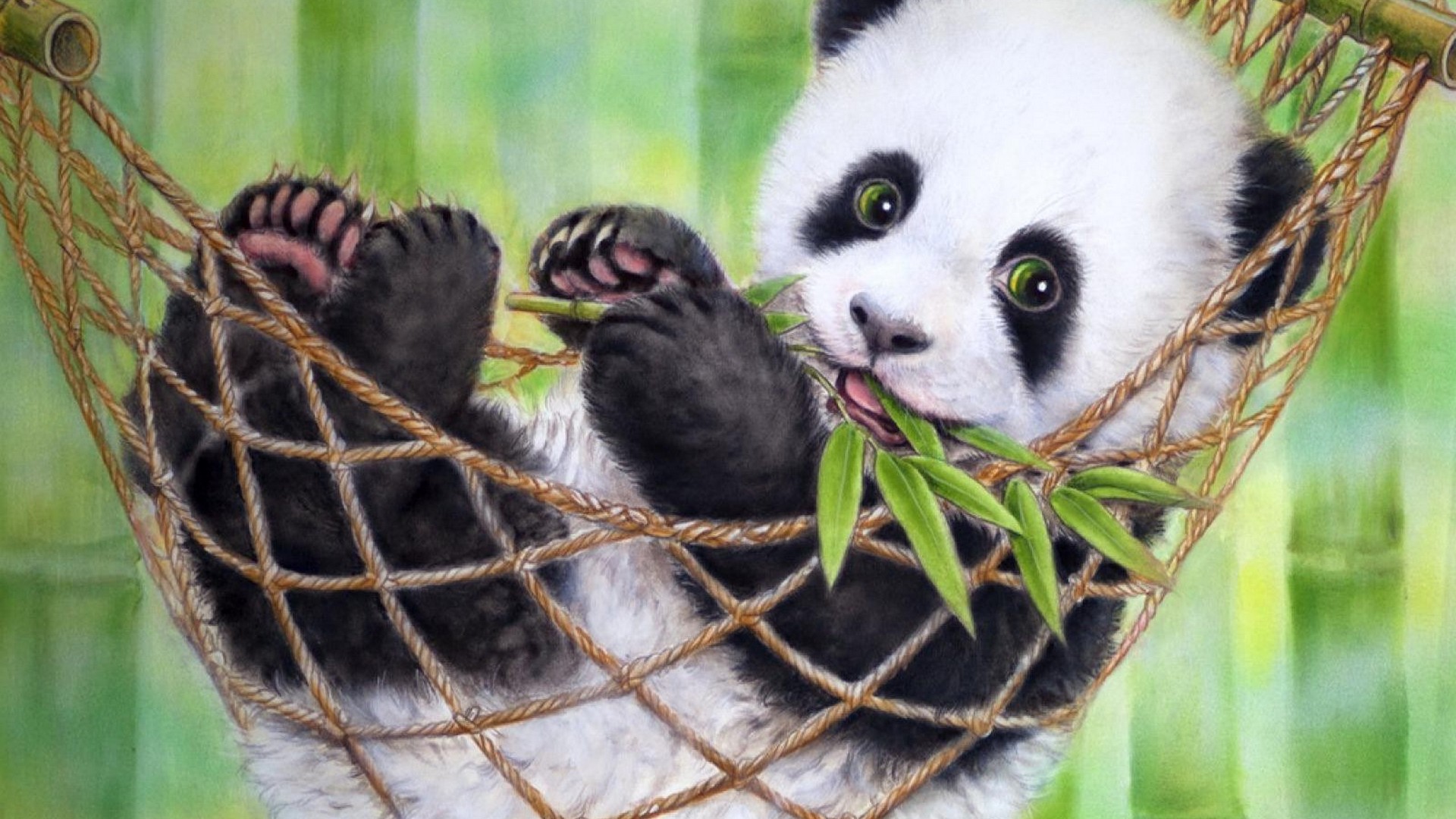 Cute Baby Panda Bear Wallpaper 1920x1080