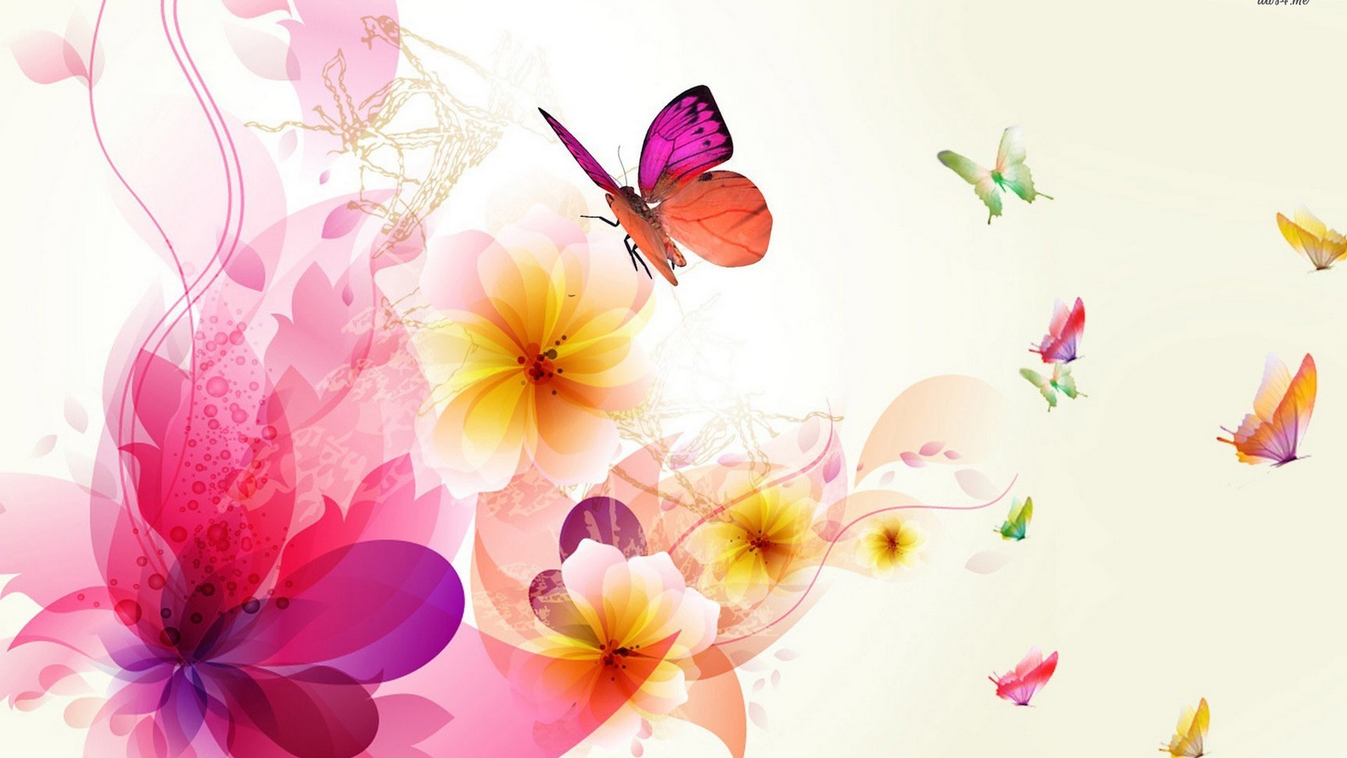 Pink Butterfly Desktop Backgrounds HD 1920x1080