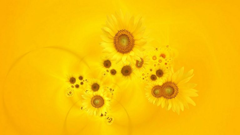 The Yellow Desktop Backgrounds Hd Cute Wallpapers