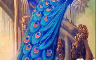 Beauty Peacock Wallpaper For Mobile