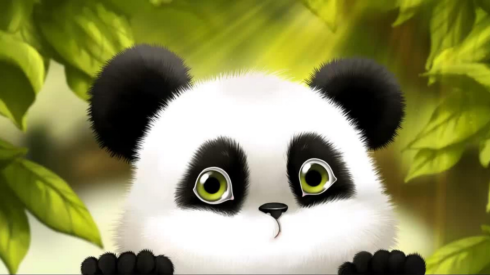 Cute Baby Panda Cartoon Wallpaper 1920x1080