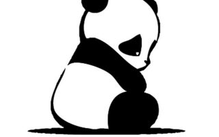 Cute Baby Panda Wallpaper For Mobile