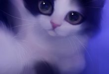 Cute Cat Wallpaper For Android