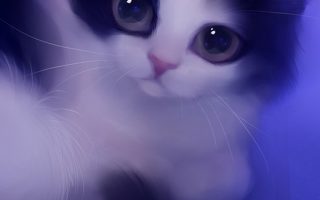 Cute Cat Wallpaper For Android