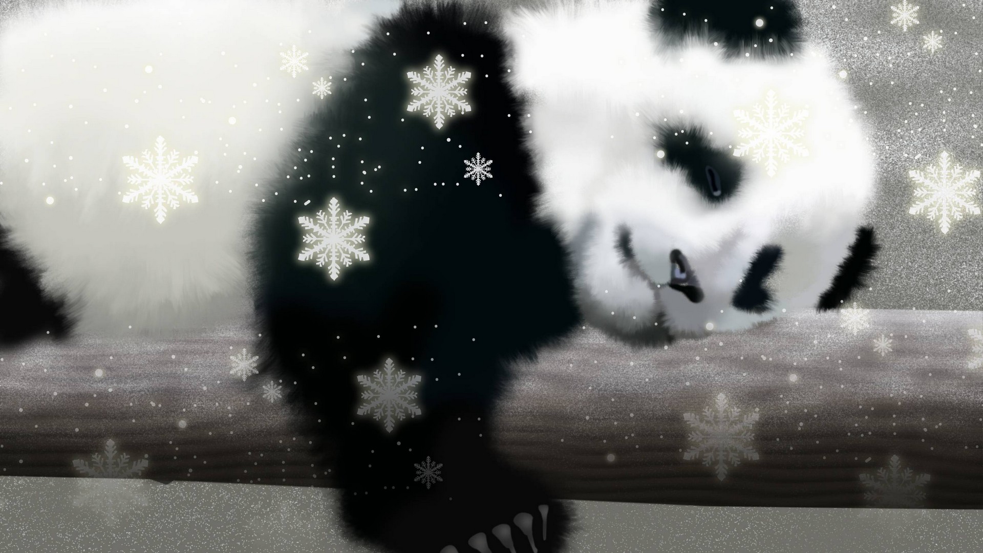 Cute Panda Bear Wallpaper 1920x1080