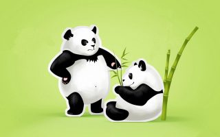 Cute Panda Couple Wallpaper HD