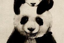Cute Panda Wallpaper Android