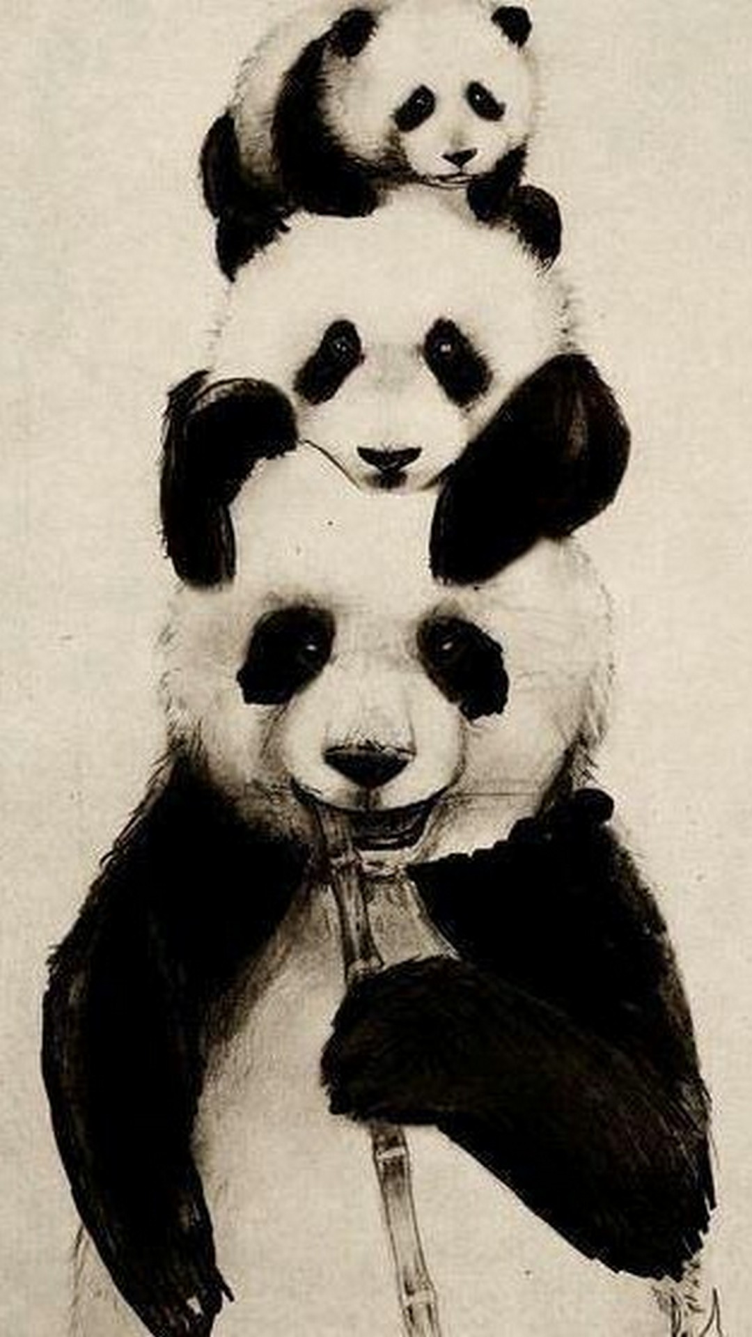 Cute Panda Wallpaper Android