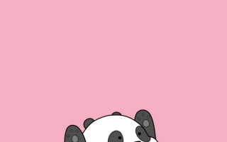 Cute Panda Wallpaper For Android