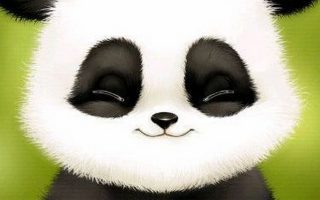 Cute Panda Wallpaper For Phone