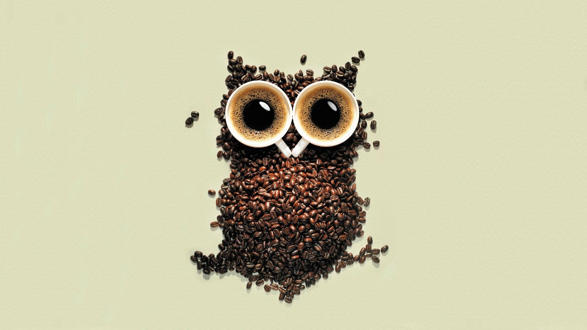 Cute Starbucks Coffe Wallpaper Owl 1920x1080