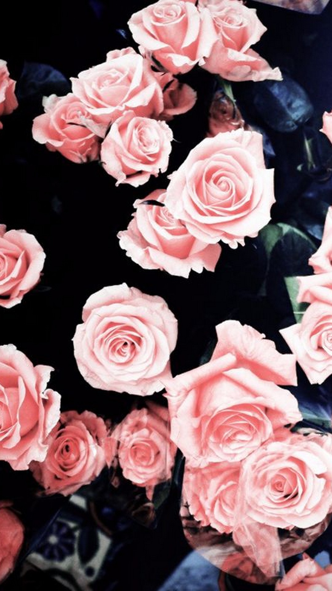 Pink Rose Girly Wallpaper For Mobile