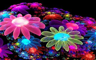 Colorful Flower Wallpaper 3D