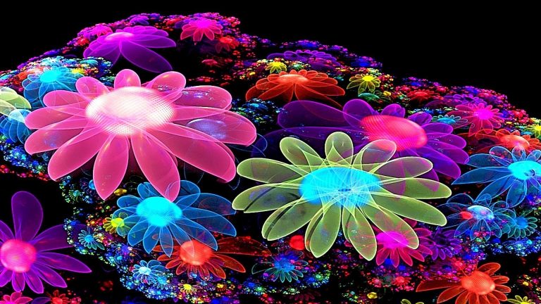 Colorful Flower Wallpaper 3D – Cute Wallpapers 2023