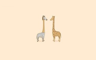 Cute Giraffe Zebra Wallpaper