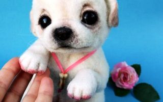 Puppy Pink Nails Wallpaper HD