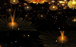 3D Flower Wallpaper For Mobile Android Resolution 1080x1920