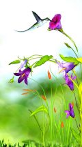 3D Flower IPhone Wallpaper HD 120x213 