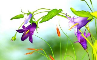 3D Flower iPhone Wallpaper HD Resolution 1080x1920