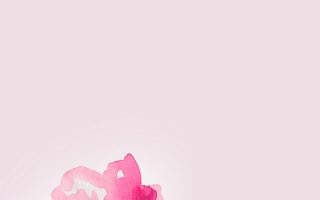 Animated Pink Flower Wallpaper