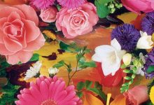 Cute Flower Cellphone Wallpaper