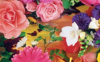 Cute Flower Cellphone Wallpaper Resolution 1080x1920