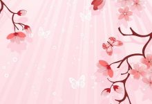 Pink Flower Wallpaper Animated