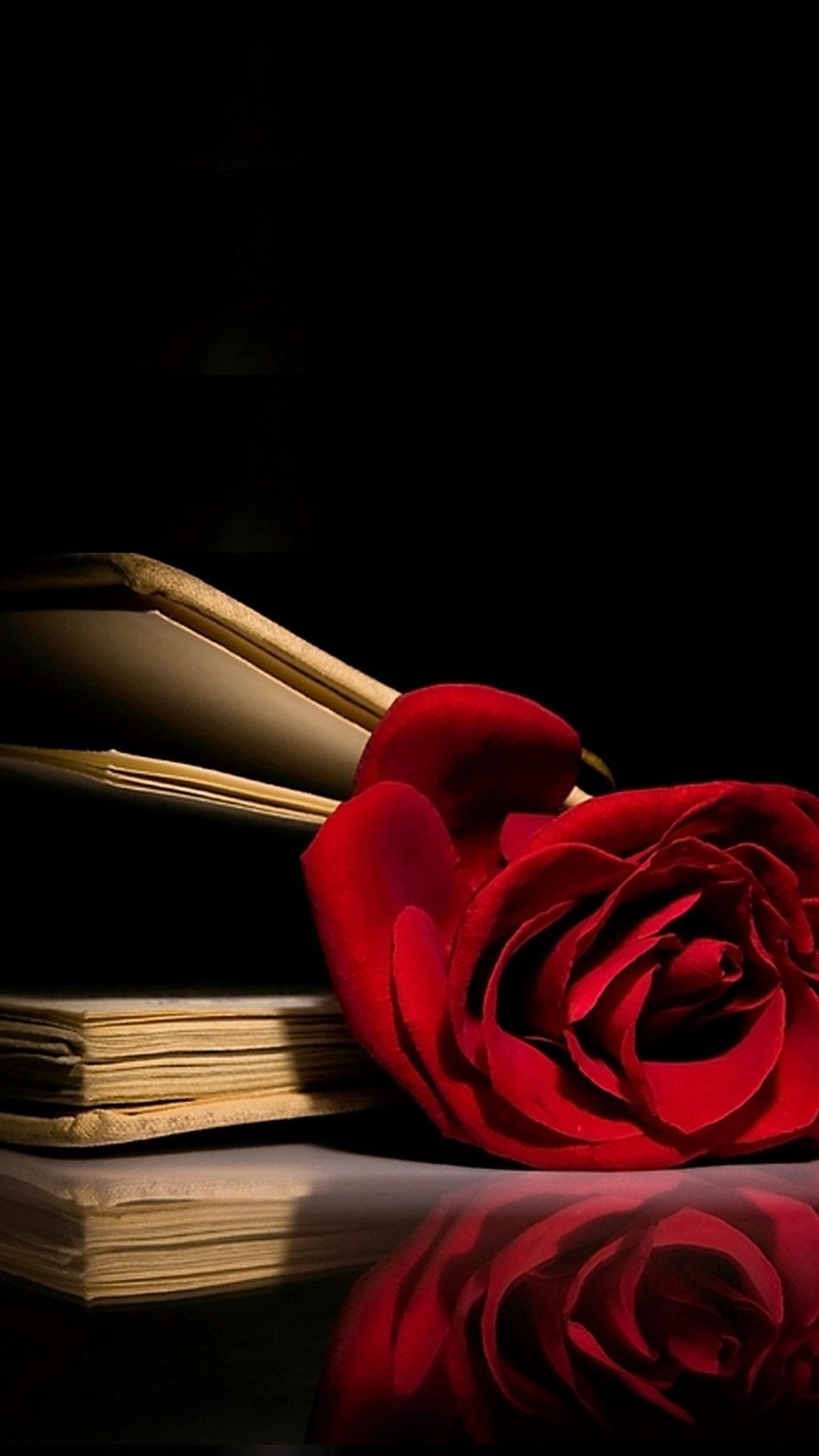 Red Rose Wallpaper iPhone Resolution 1080x1920