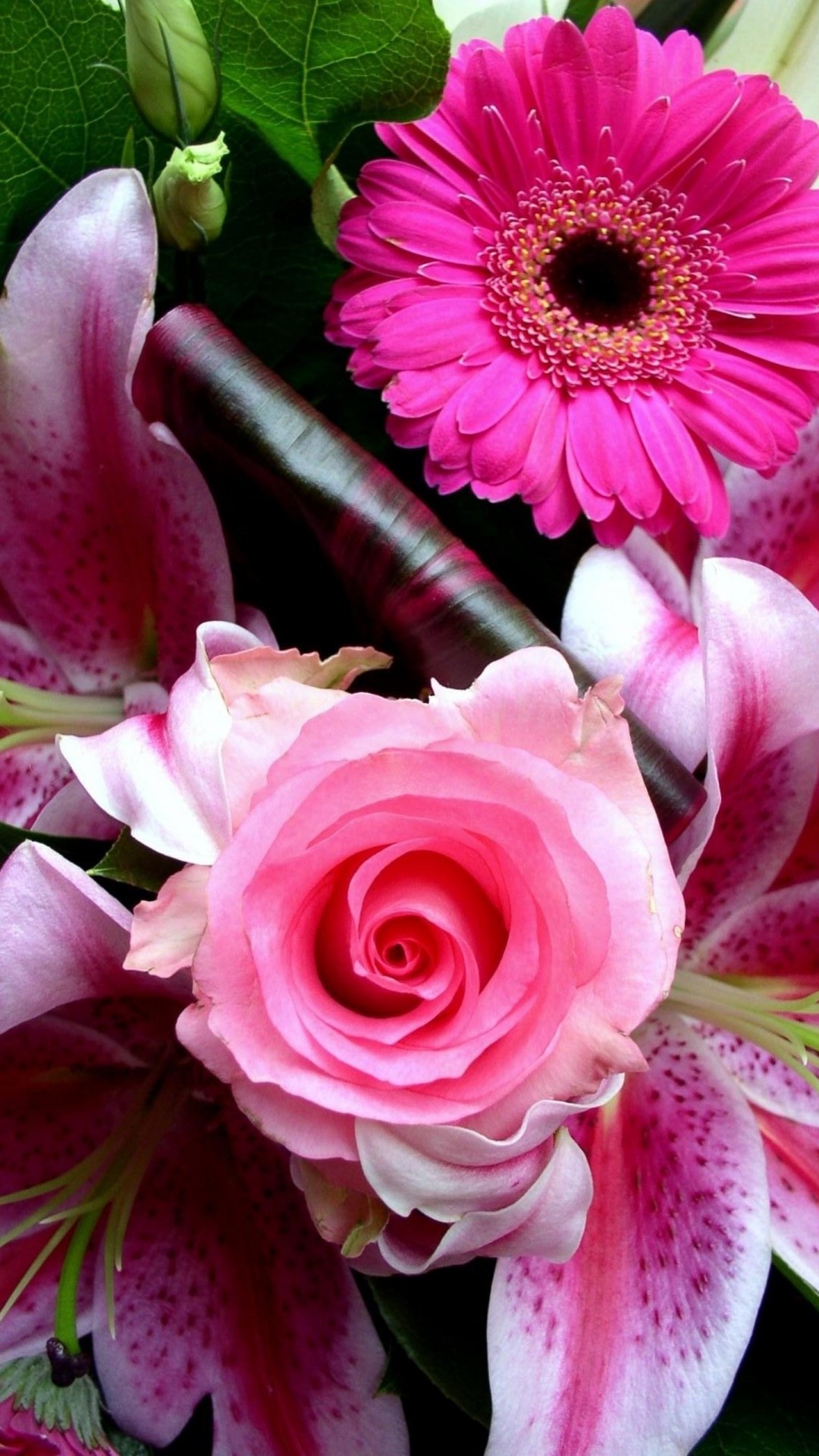 iPhone Wallpaper HD Pink Flower Resolution 1080x1920