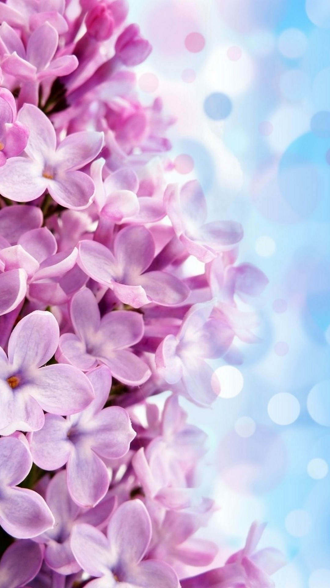iPhone Wallpaper HD Purple Flowers Resolution 1080x1920