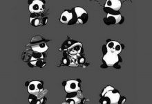 Baby Panda HD Wallpapers For Mobile