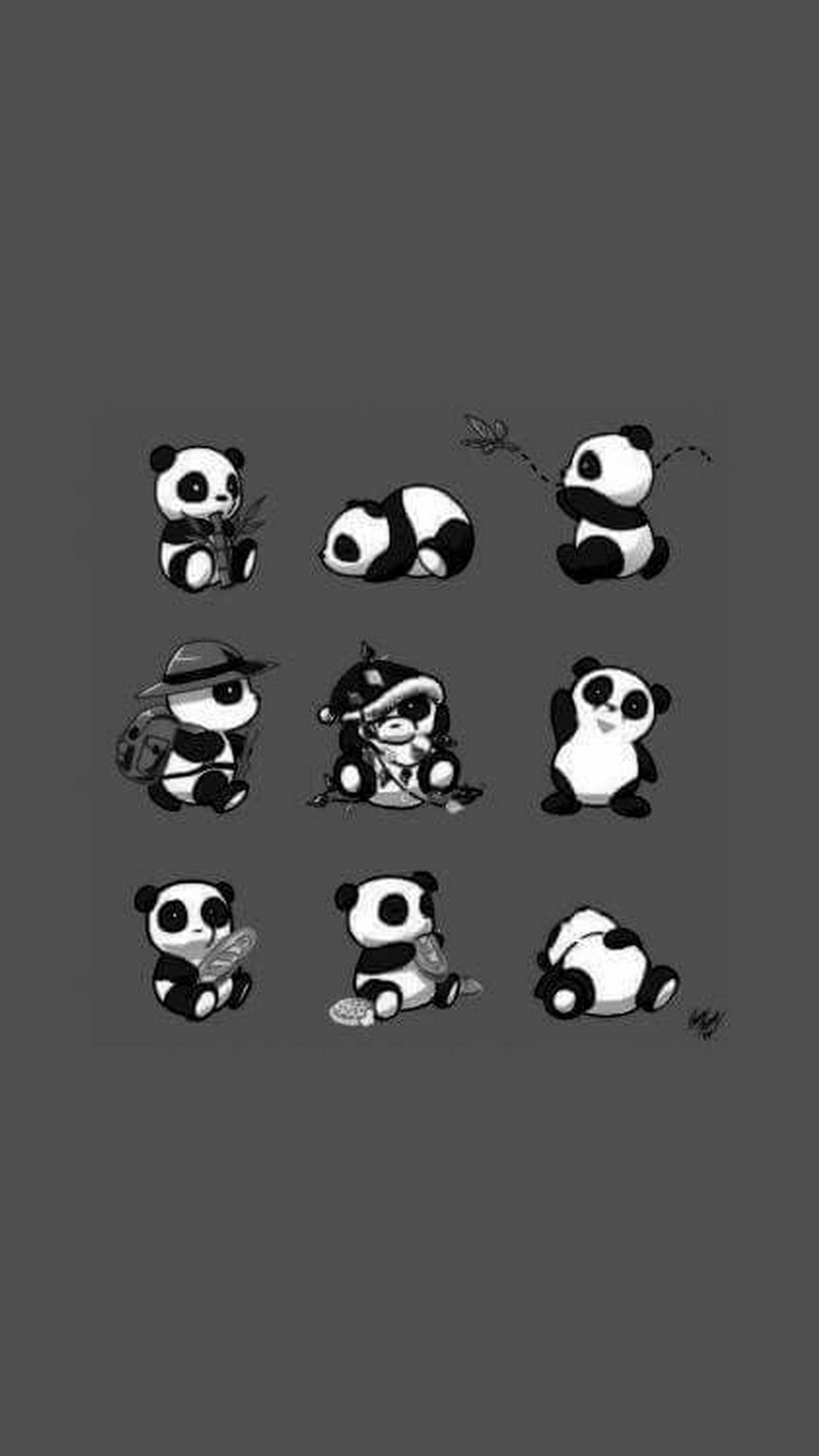 Baby Panda HD Wallpapers For Mobile 1080x1920