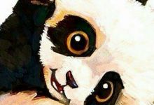 Baby Panda Mobile Wallpaper HD