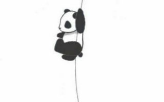 Baby Panda Wallpaper For Phone Resolution 1080x1920