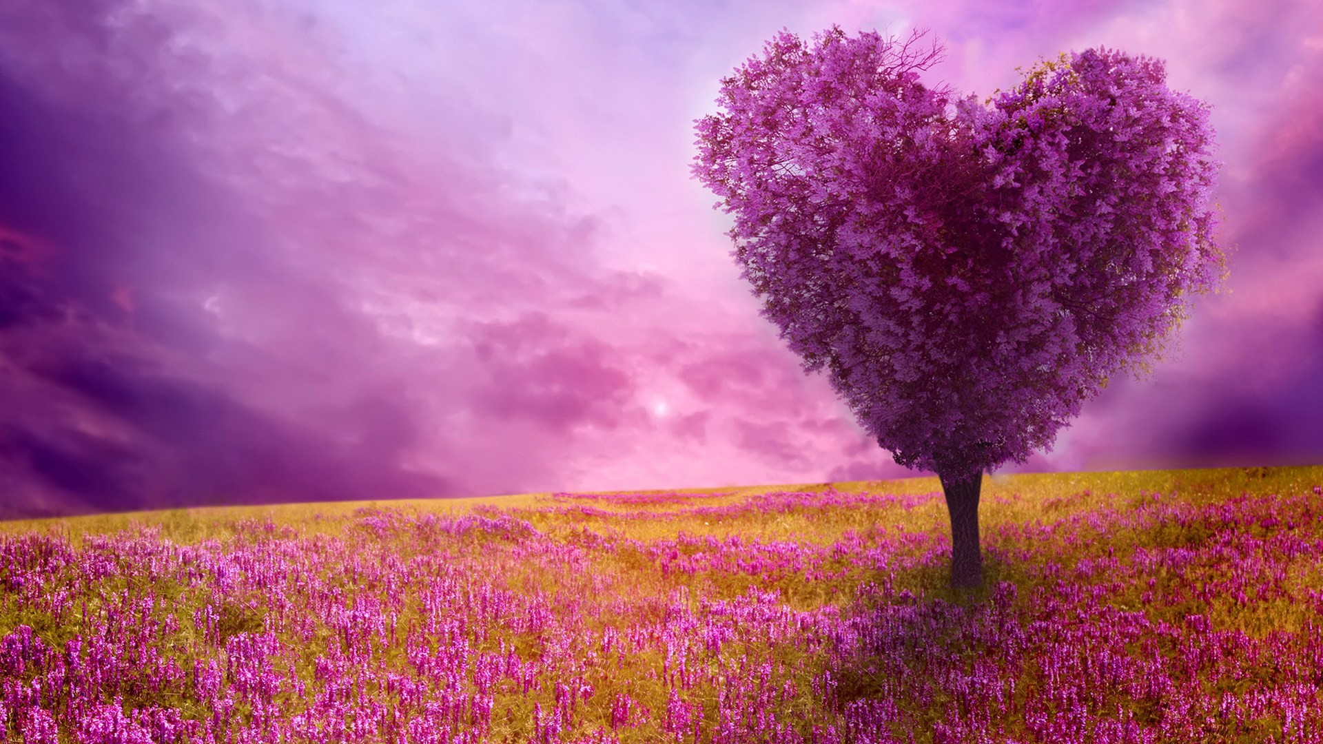 Beautiful Spring Wallpaper 2021 Cute Wallpapers