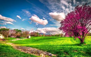 HD Spring Nature Backgrounds Resolution 1920x1080