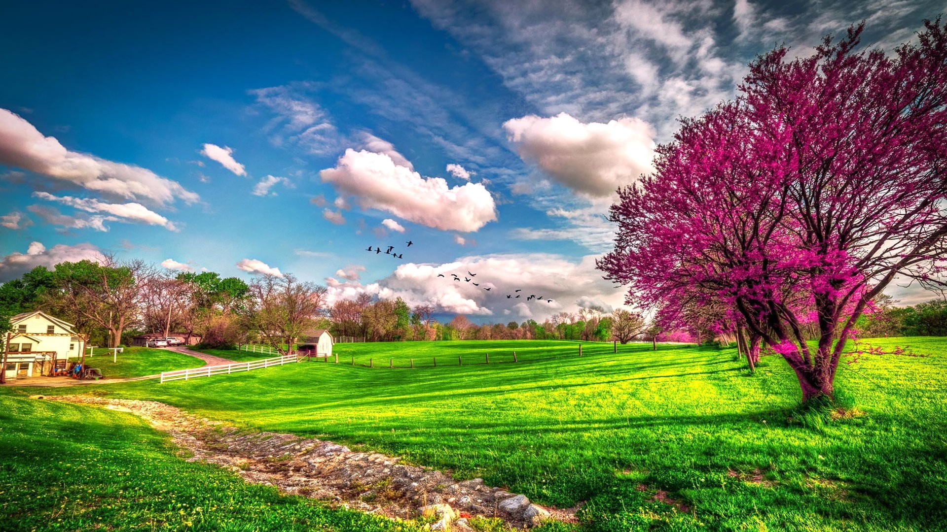 HD Spring Nature Backgrounds 1920x1080