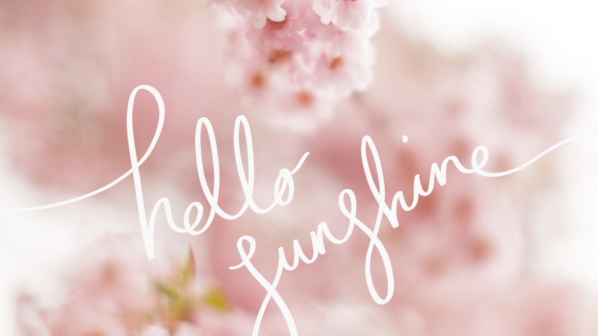 Hello Spring Desktop Wallpaper 2020 Cute Wallpapers