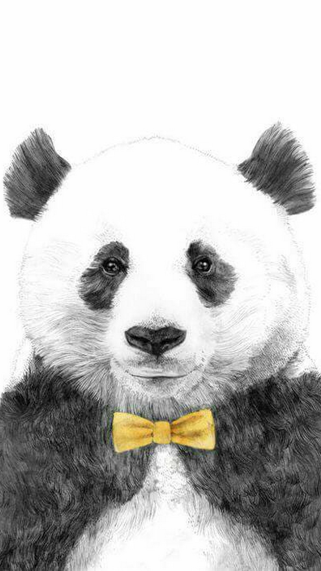 Panda Wallpaper For Phone – Cute Wallpapers 2023