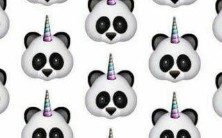 Wallpaper Panda Mobile Resolution 1080x1920