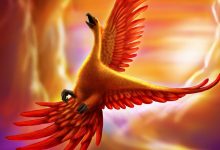 Best Phoenix Bird Images Wallpaper