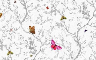 Best Pink Butterfly Wallpaper Resolution 1920x1080