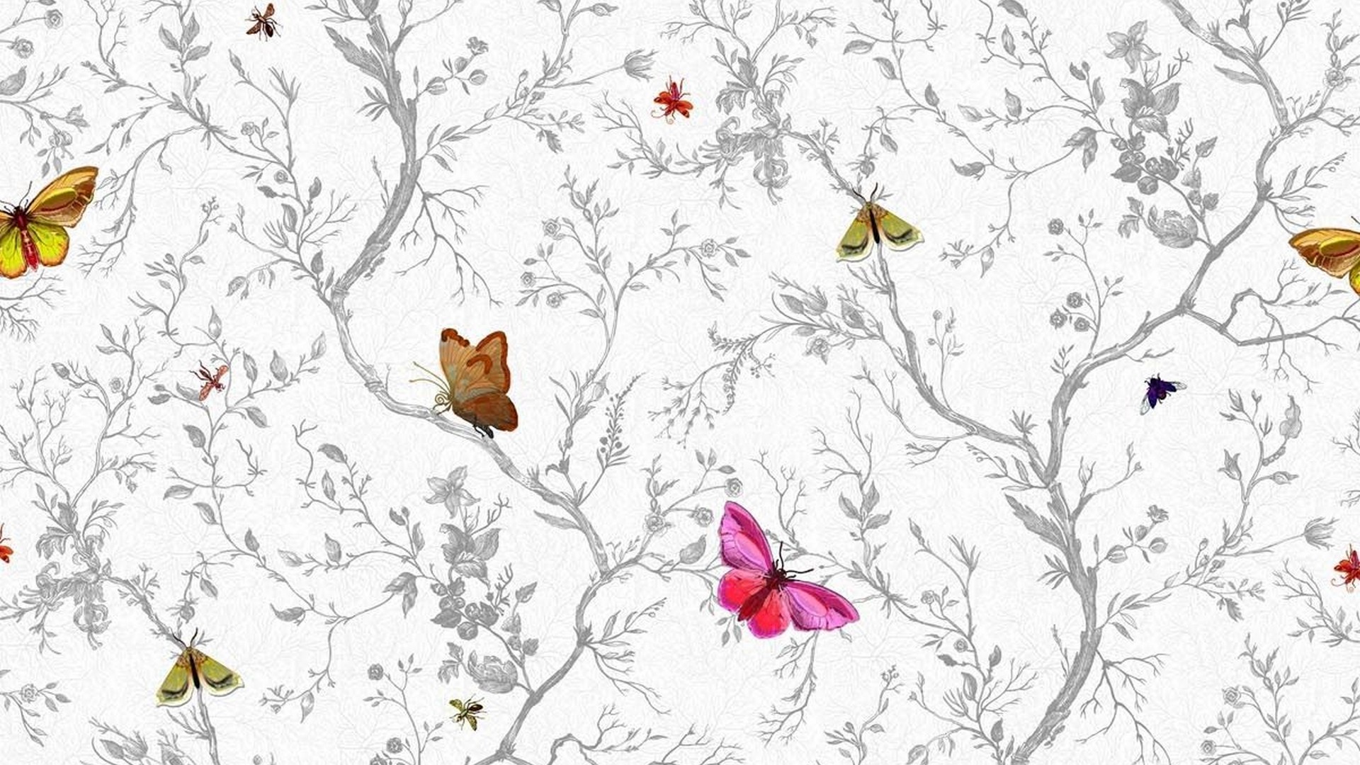 Best Pink Butterfly Wallpaper 1920x1080