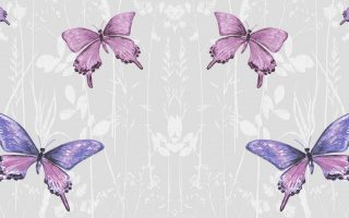 Best Purple Butterfly Wallpaper Resolution 1920x1080