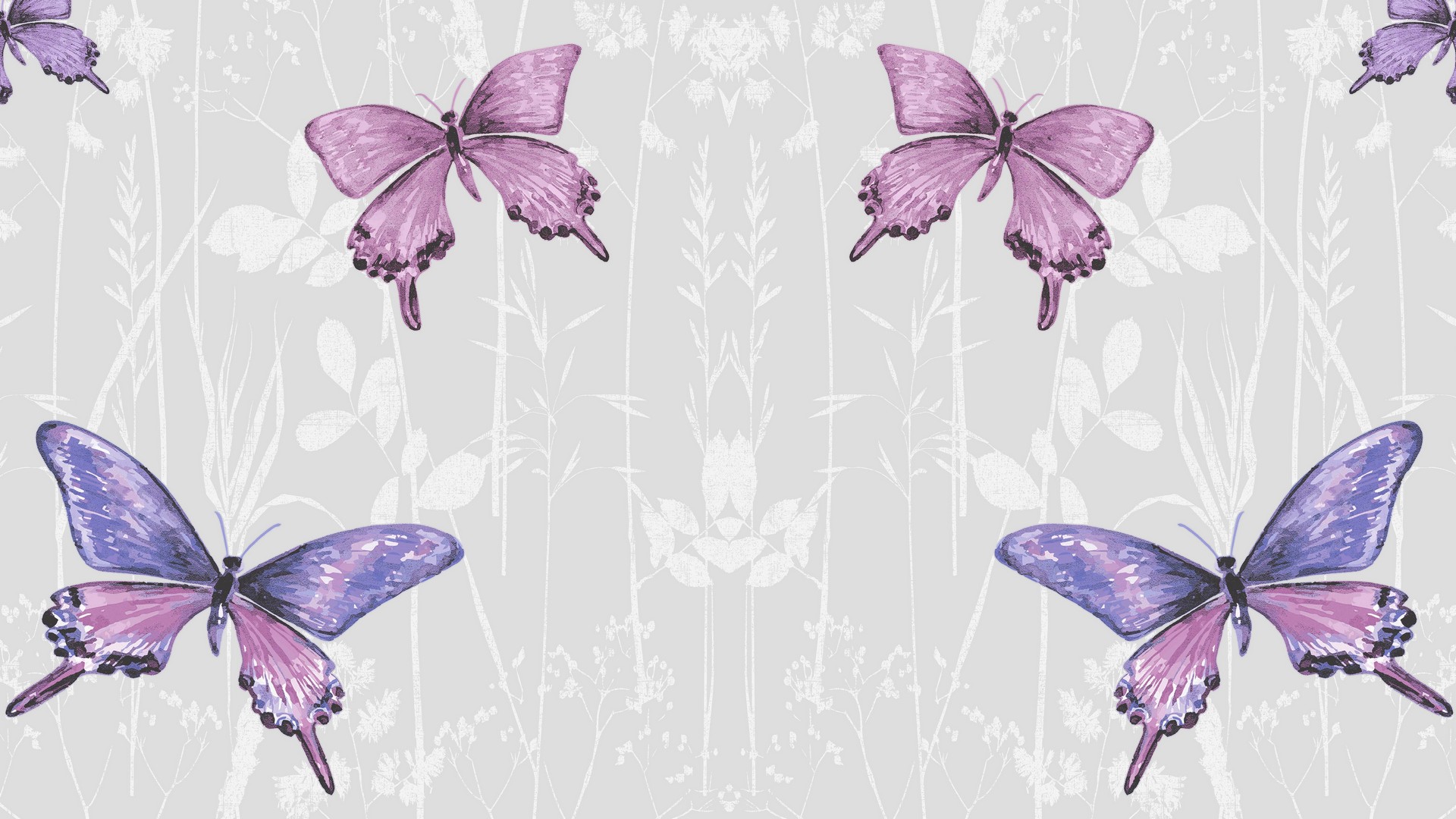 Best Purple Butterfly Wallpaper 1920x1080