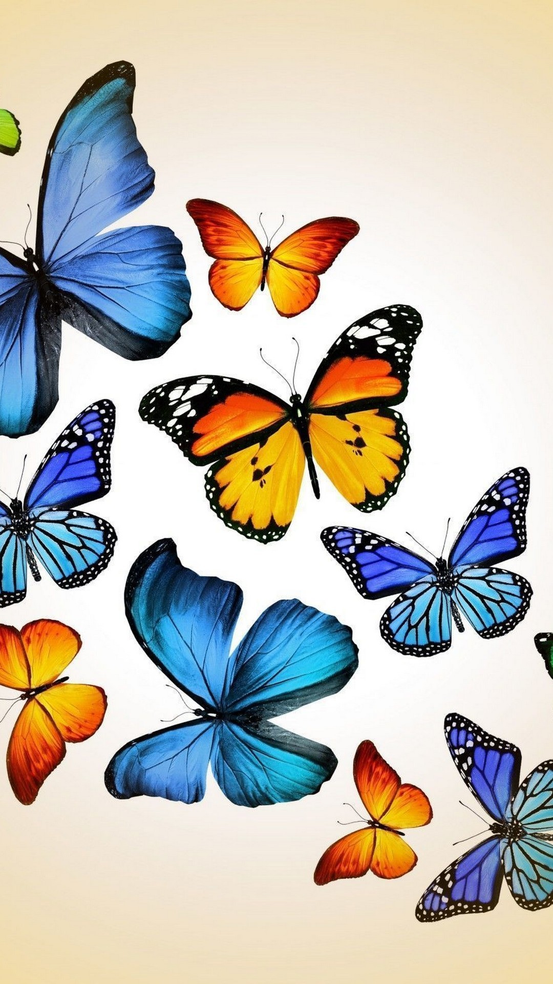 Blue Butterfly Cellphone Wallpaper Resolution 1080x1920