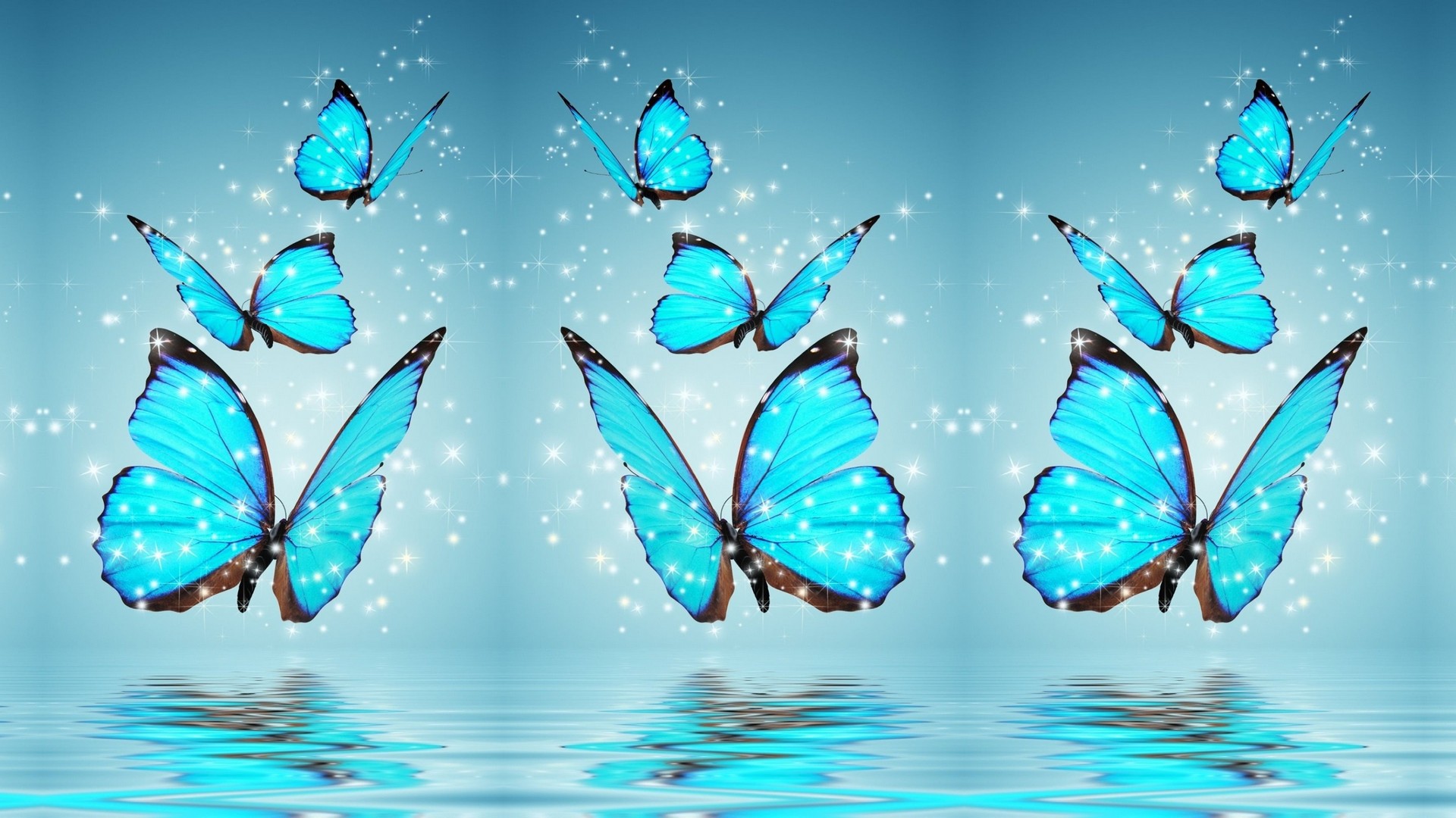 Blue Butterfly Desktop Backgrounds HD Resolution 1920x1080