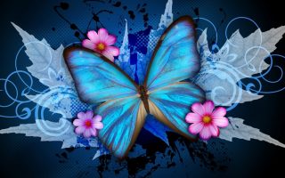Blue Butterfly Wallpaper For Desktop Resolution 1920x1080