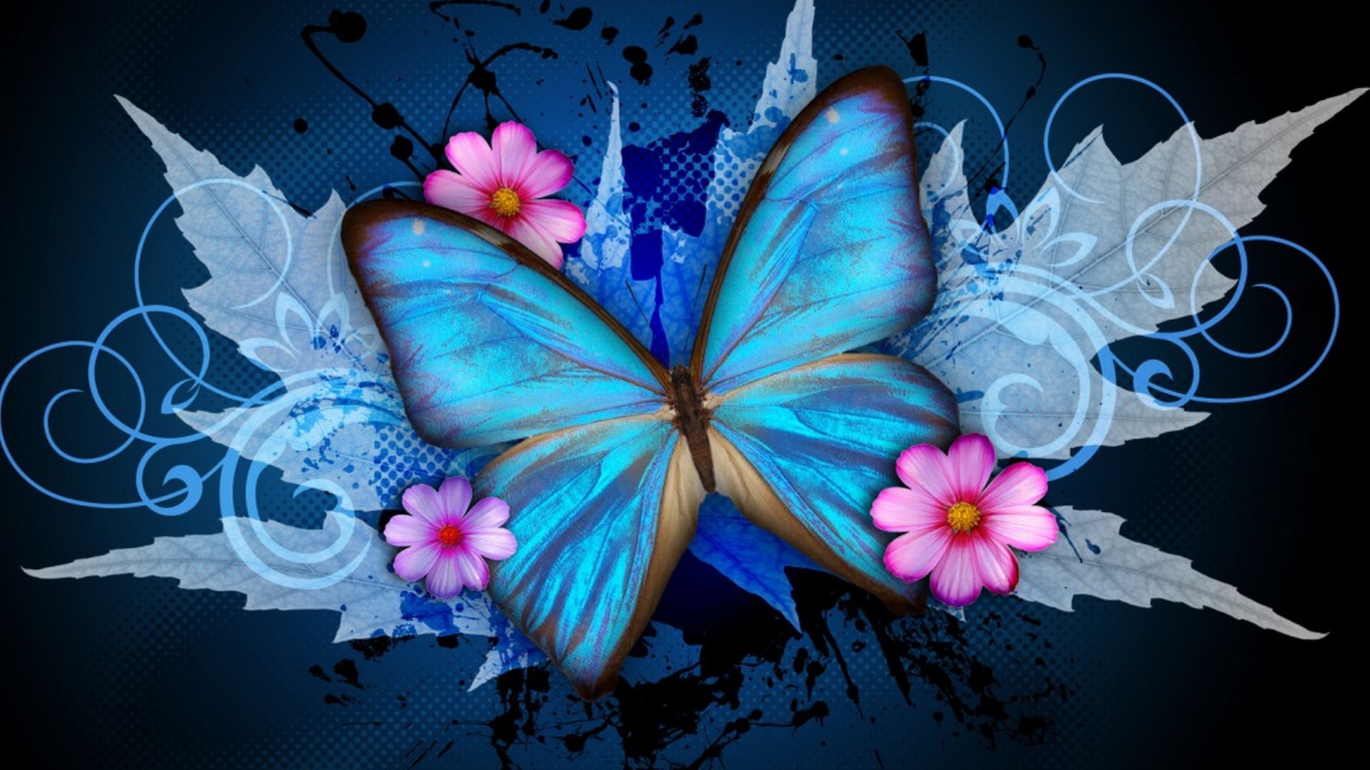 Blue Butterfly Wallpaper For Desktop Resolution 1920x1080