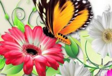 Butterfly Cellphone Wallpaper